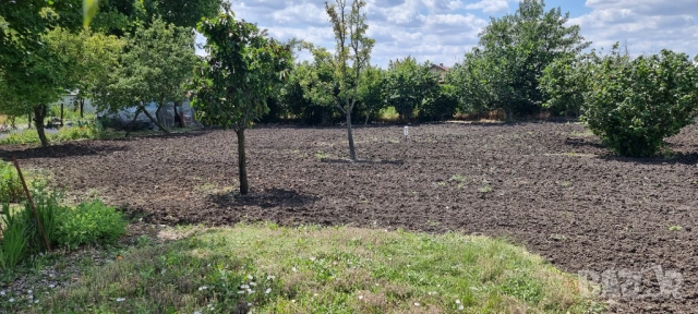 Парцел в регулация, бунгало, ток, вода, сондаж, овощни дръвчета., снимка 8 - Парцели - 53813164