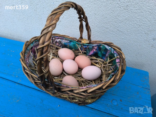 домашни пресни яйца