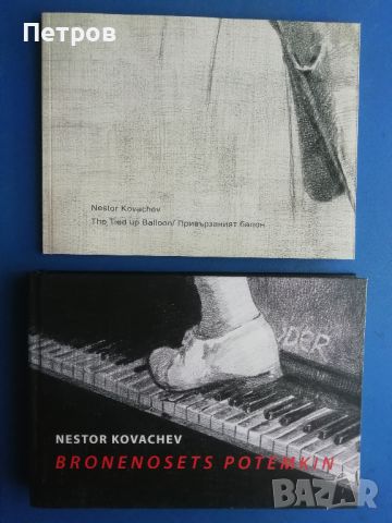 Книги за съвременно българско изкуство: Нестор Ковачев, албуми