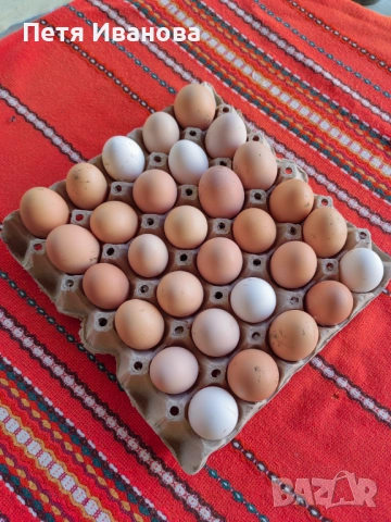 Домашни яйца