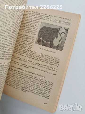 Животновъдство, снимка 2 - Специализирана литература - 53727376