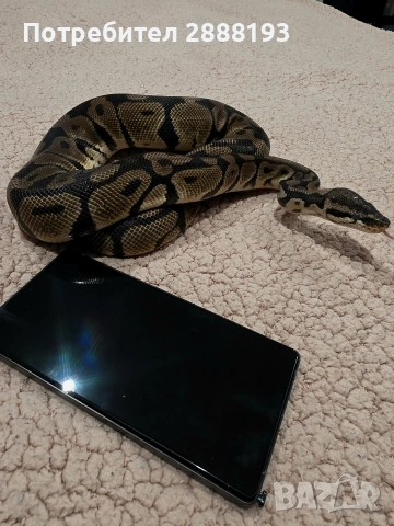 Нов Samsung S25Ultra с 24 месеца гаранция, снимка 2 - Samsung - 53028583