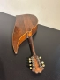 Стара Италианска Мандолина G. Puglisi Reale Figli, снимка 4