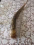 Рог от бик, снимка 3