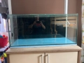 Продавам аквариум 245л (110х45х50) + шкаф и оборудване, снимка 5