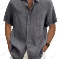 Мъжка ежедневна риза с къс ръкав, 9цвята , снимка 8 - Ризи - 45881572