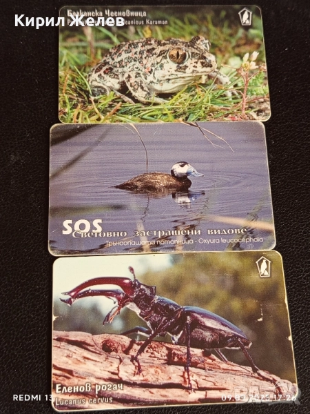 Три фонокарти МОБИКА тема ЖИВОТНИ БАЛКАНСКА ЧЕСНОВНИЦА,ЕЛЕНОВ РОГАЧ 47017, снимка 1