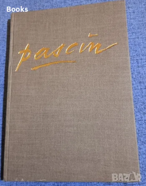 Богомил Райнов - Паскин, снимка 1