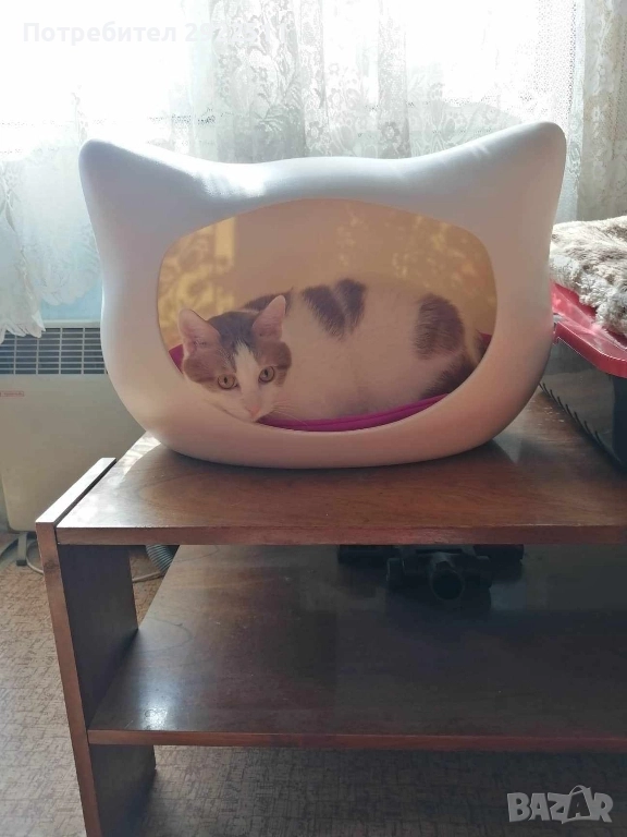 котешка къща , снимка 1
