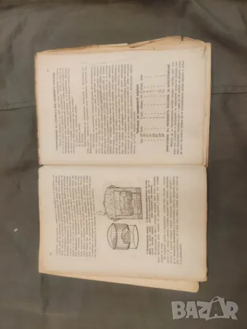 Продавам книга "Ръководство за консервиране на овощия и зеленчуци К.Балабанов  , снимка 5 - Специализирана литература - 48987454