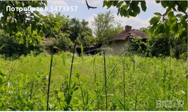 Продава се имот в с.Горно Павликене., снимка 16 - Къщи - 54118856