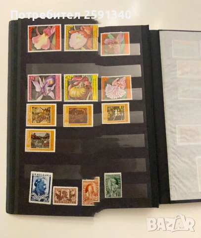 Класьор с  и Руски марки, снимка 4 - Филателия - 51786823