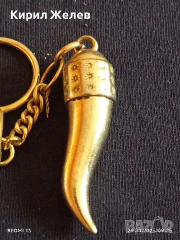 Красив ключодържател амулет рог метален стилен дизайн 37397, снимка 2 - Други - 50077278