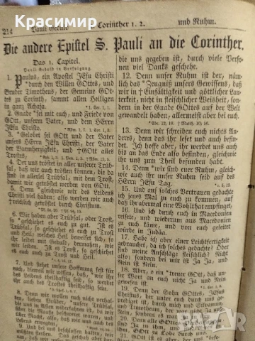 Библията на Лутер 1893 г., снимка 6 - Антикварни и старинни предмети - 51000438