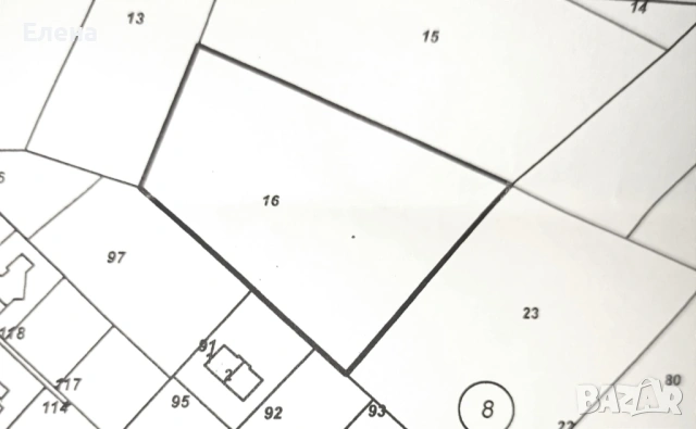 Ливада Цигов чарк