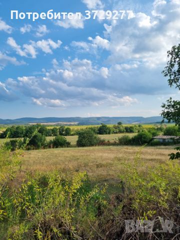 Панорамен парцел УПИ до Търговище, снимка 1 - Парцели - 46735894