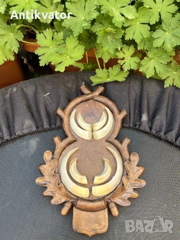 Глиги - зъби от диво прасе , снимка 2 - Други - 54240588