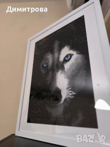 Диамантен гоблен Хъски , снимка 3 - Гоблени - 50645904