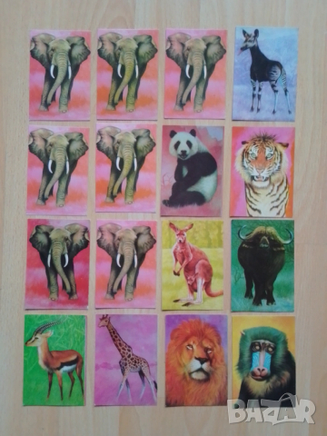 Календарчета животни , снимка 3 - Колекции - 53409689
