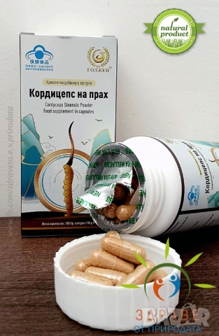 Кордицепс на прах -Нова Ера-100 броя капсули, снимка 2 - Хранителни добавки - 50603527