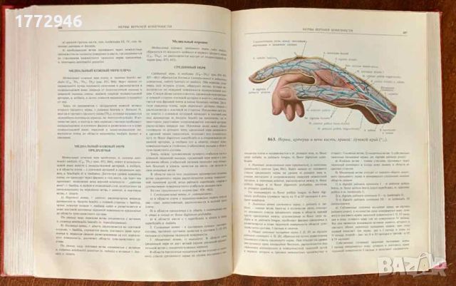 Атлас анатомии человека, Синельников, том 1-3, снимка 12 - Специализирана литература - 45251781