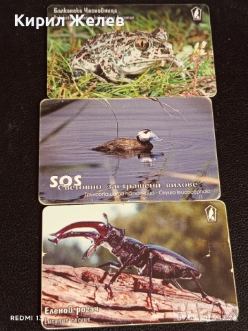 Три фонокарти МОБИКА тема ЖИВОТНИ БАЛКАНСКА ЧЕСНОВНИЦА,ЕЛЕНОВ РОГАЧ 47017