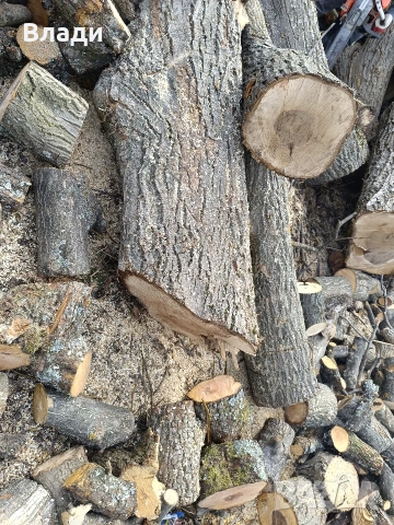 Орех-орехови трупи, снимка 2 - Дърводелски услуги - 53704493