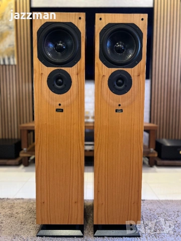 Chario Syntar 200 Tower – Италиански Hi-Fi подови тонколони, снимка 2 - Тонколони - 53797555