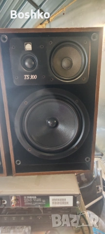 Arcys TS 300, снимка 6 - Тонколони - 53498229