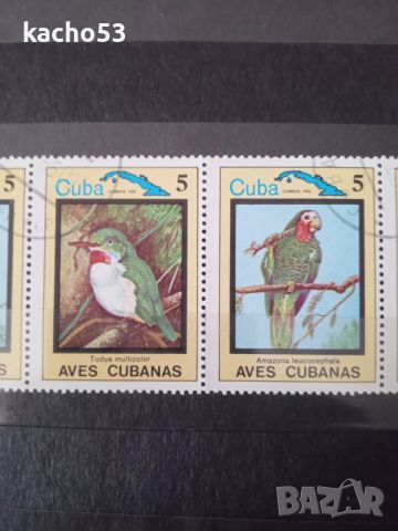 1983 г. Ендемични птици.  Куба., снимка 3 - Филателия - 45451363