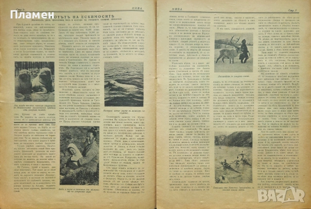 Нива. Бр. 7 / 1931, Бр. 14, 19, 20, 21, 22, 23, 25, 27, 29, 30, 31 / 1932, снимка 6 - Антикварни и старинни предмети - 53959601