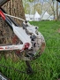 Колело Shockblaze , снимка 7