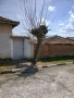 Продава се къща в село Елена , снимка 1