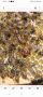 Продавам презимували пчелни майки , снимка 1 - За пчели - 45081439