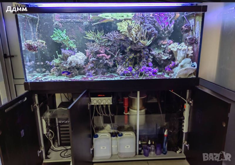 Професионално осветление за соленводен / морски аквариум , снимка 1