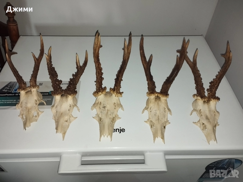 красиви срандаци, снимка 1