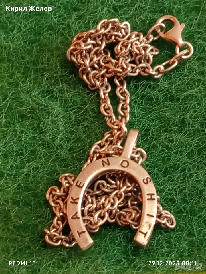 Сребърно колие TAKE NO SHIT на шведската дизайнерка на бижута Efva Atting 18911, снимка 1