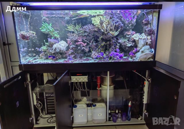 Професионално осветление за соленводен / морски аквариум 