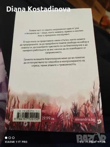 Наръчник за справяне с депресията и паник атаките , снимка 2 - Художествена литература - 48080203