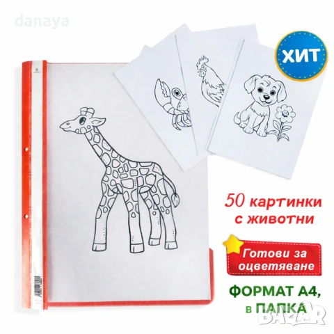 6553 Комплект A4 листи за оцветяване с животни в папка, 50 броя