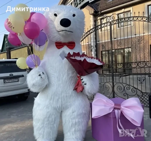 Бяло мече изненада 