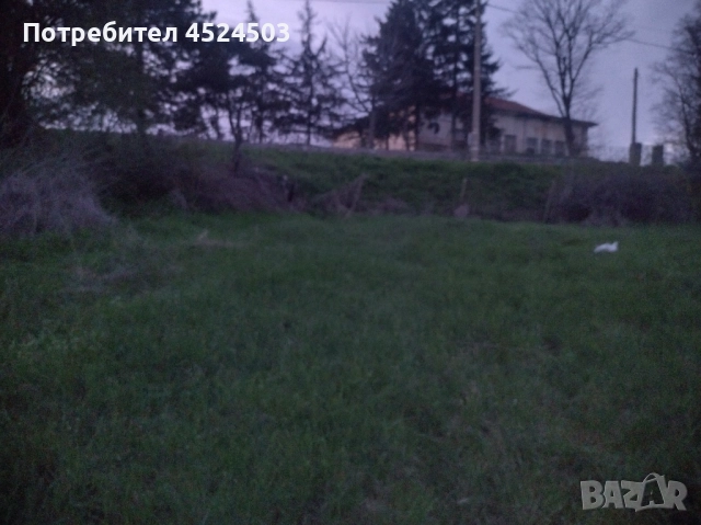 Дворно място село Цани Гинчево, снимка 11 - Парцели - 52354249