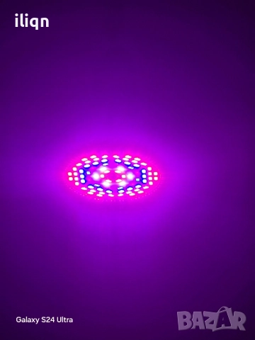 LED лампа за отглеждане на растения 50W. AC85-265V/50-60Hz. Пълен спектър, размери 80.5мм, , снимка 6 - Лед осветление - 51584724