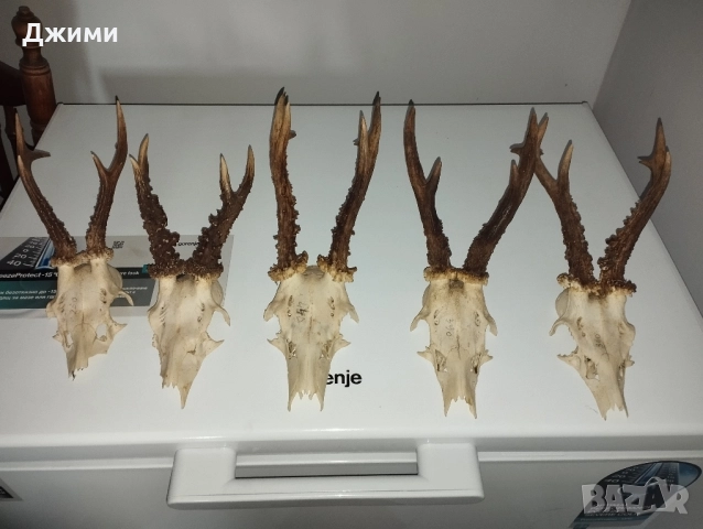 красиви срандаци