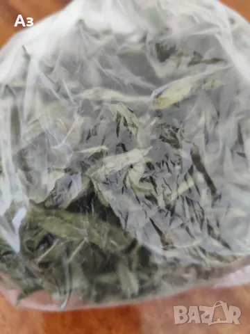 Продавам Сух джоджен (на листа или наронен), реколта 2025 г., снимка 6 - Домашни продукти - 46910995