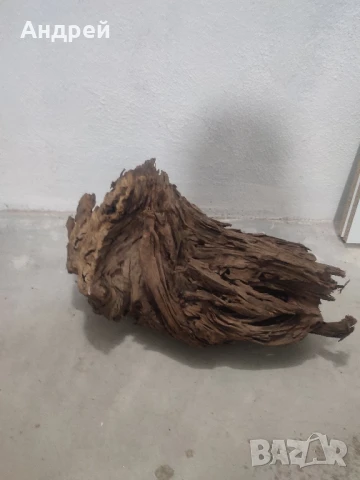 Огромни Мангров корен 50+см. 60 - 85лв. , снимка 5 - Оборудване за аквариуми - 51042014