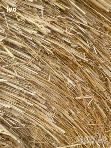 Слама бали, снимка 5 - За селскостопански - 51174970