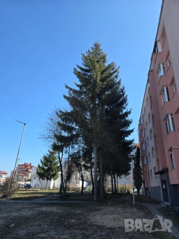 Продавам 3 ст апартамент тухла 100кв гр.Самоков до детската градина, снимка 13 - Апартаменти - 52024608