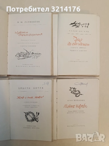Избрани стихотворения - М. Ю. Лермонтов, снимка 2 - Художествена литература - 53483496