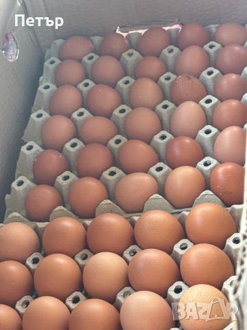 Домашни яйца, снимка 1 - Домашни продукти - 45683285